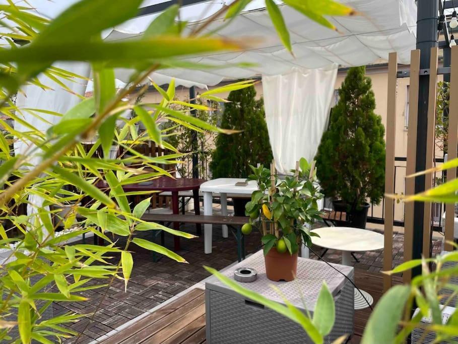 Apartment Terrazza57 In Centro Storico